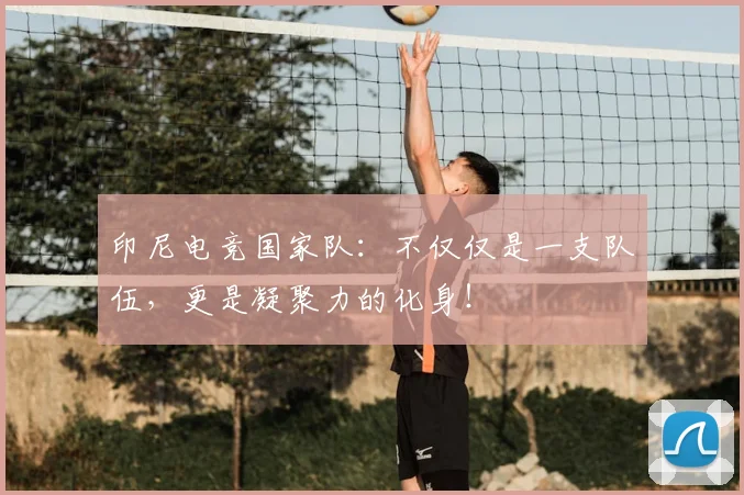 印尼电竞国家队:不仅仅是一支队伍,更是凝聚力的化身!